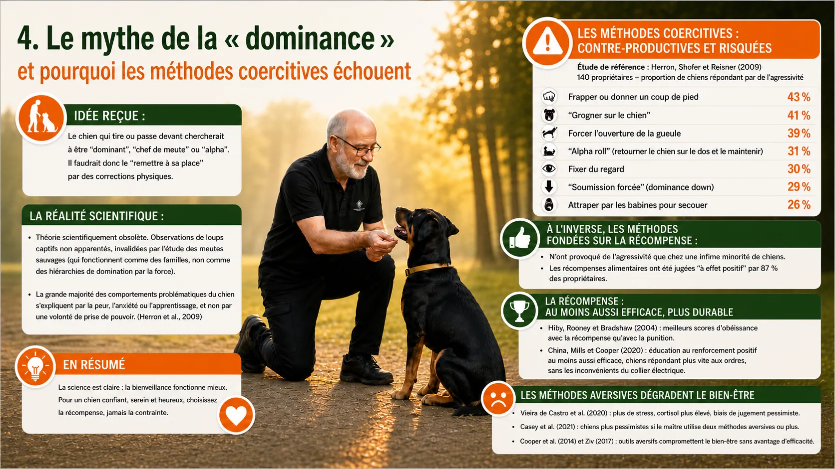 Le mythe de la dominance dans l'éducation du chien